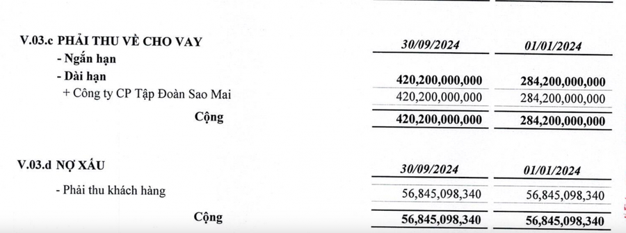 Báo cáo tài chính riêng quý III năm 2024.