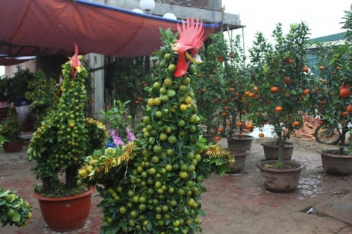 Ngoài thân và quả, những con gà còn được tạo thêm mỏ, mào, mắt, tai và bộ lông đuôi sặc sỡ.