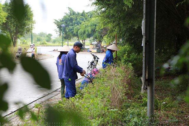 Công nhân tích cực làm nhiệm vụ cắt tỉa, phát quang bụi rậm hai bên đường lối vào khu chung cư.