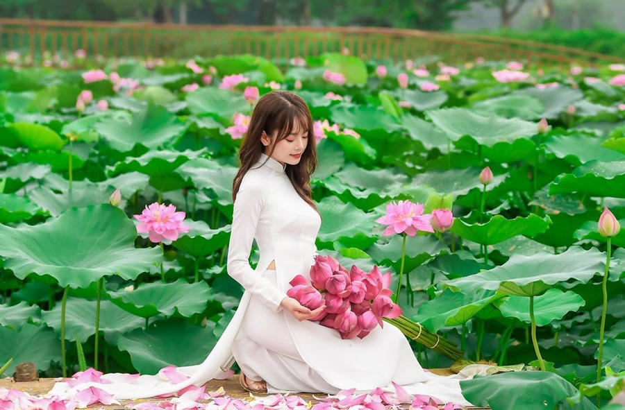 Trong khuôn khổ Lễ hội Sen Hà Nội năm 2024,nhiều hoạt động diễn ra như diễu hành đường phố với chủ đề “Sắc Sen”, tổ chức các đêm nhạc, thơ và cuộc thi ảnh chụp cùng hoa... (Nguồn ảnh: bffmedia)