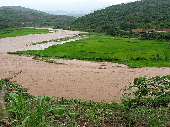 Nhiều ha ruộng lúa, hoa màu của bà con bị lũ cuốn trôi.