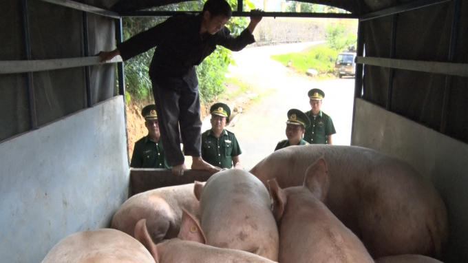 Đồn biên phòng Lũng Cú thu giữ và tiêu hủy tang vật. (ảnh: Thiện Ngay).