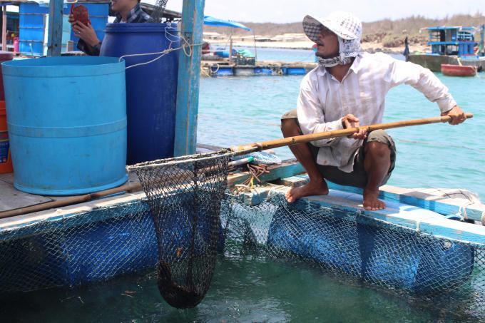 Người dân vừa nuôi trồng kết hợp kinh doanh trên lồng bè.