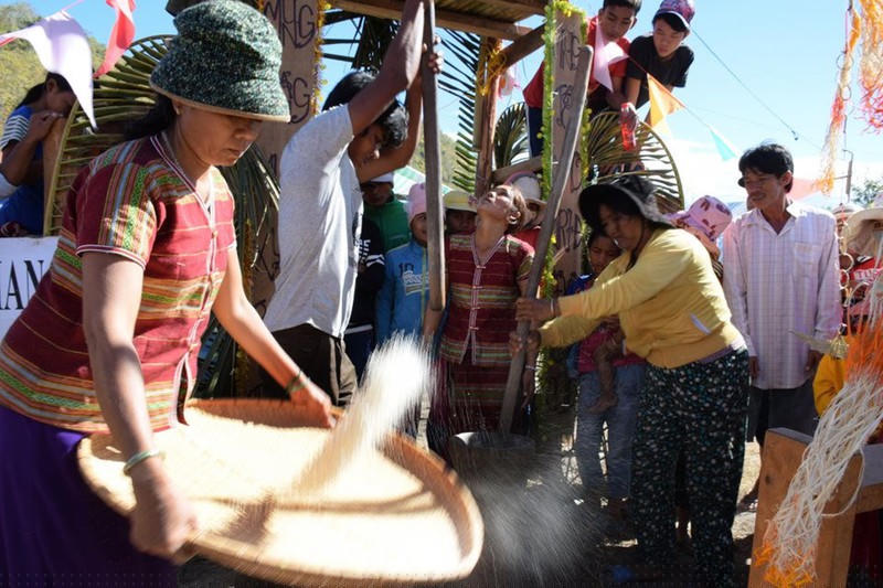 Thi giã gạo trong dịp Tết Đầu lúa. 