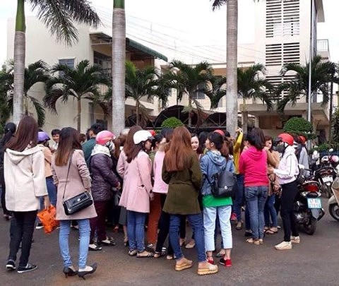 Hơn 500 giáo viên hợp đồng tại huyện Krông Pắk sắp mất việc (ảnh: facebook)