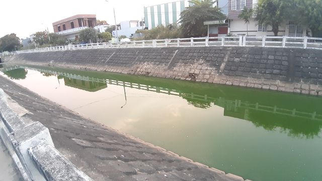 Đ&agrave; Nẵng: Gần 2 km k&ecirc;nh đổi m&agrave;u xanh bất thường v&agrave; bốc m&ugrave;i