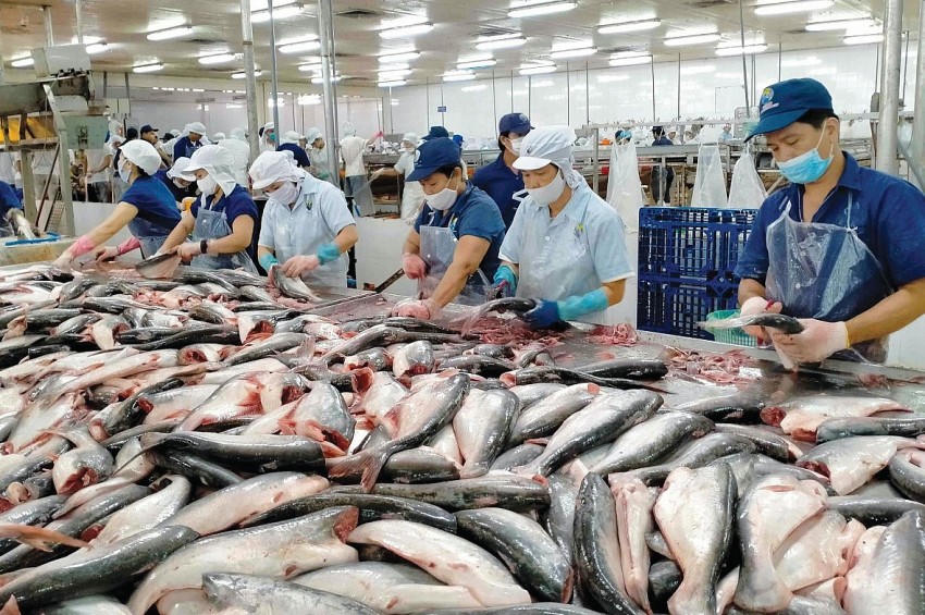 VASEP đề xuất giảm thuế nhập khẩu thủy sản từ Hoa Kỳ về 0%.