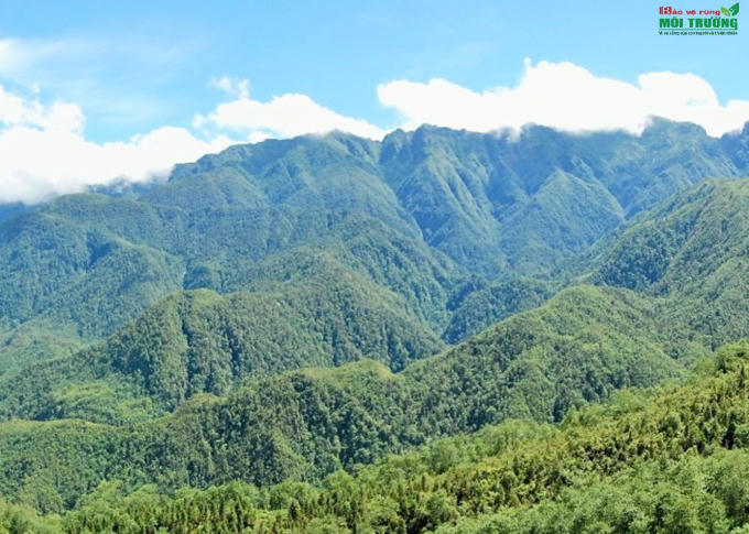 Anhminhhoa