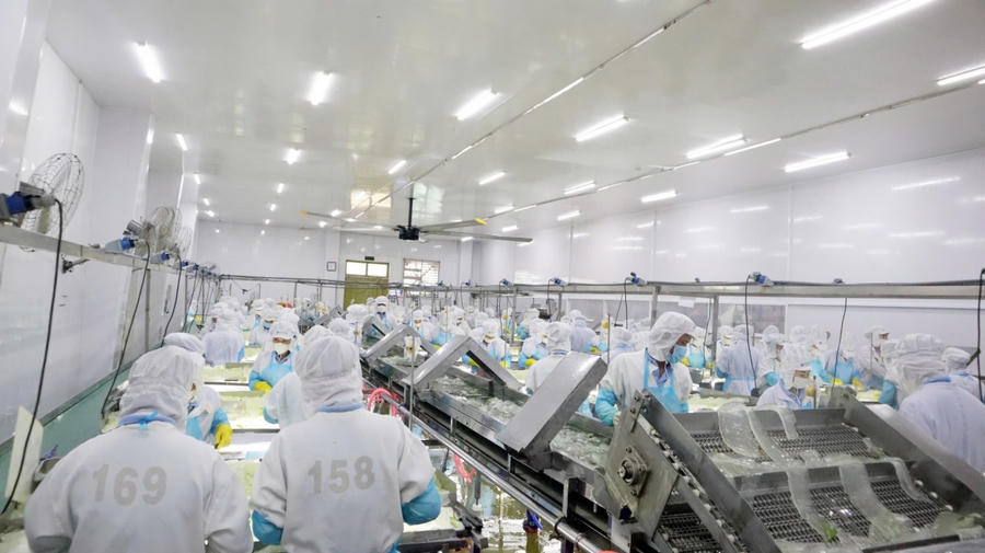 Nghị quyết 59 và Nghị quyết 66 tạo thành “đôi cánh thể chế” giúp doanh nghiệp vươn ra thế giới