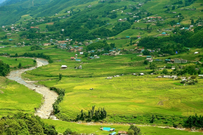 Đến hẹn lại lên, cứ vào thời điểm cuối tháng 8, đầu tháng 9, Tây Bắc lại chuẩn bị khoác lên mình một sắc vàng quyến rũ.