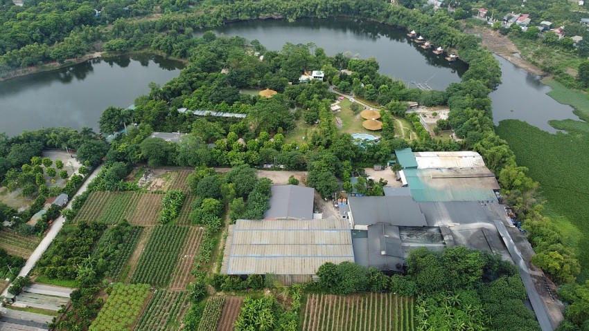 Việc bồi thường thiệt hại bằng 100% giá trị vật nuôi là thủy sản hoặc vật nuôi khác mà không thể di chuyển khi Nhà nước thu hồi đất trên địa bàn thành phố Hà Nội.