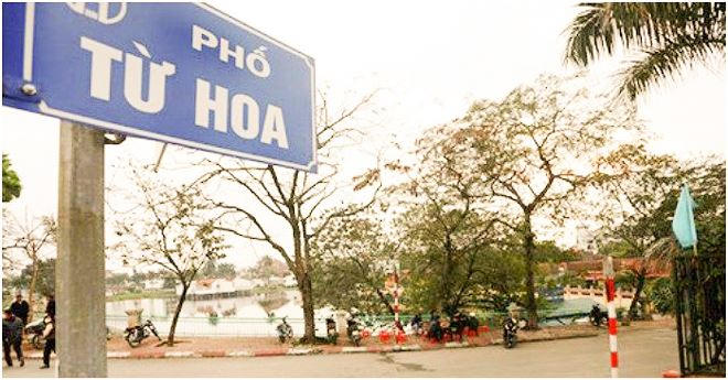 Phố Từ Hoa được điều chỉnh độ dài: dài 300m, rộng 6m.