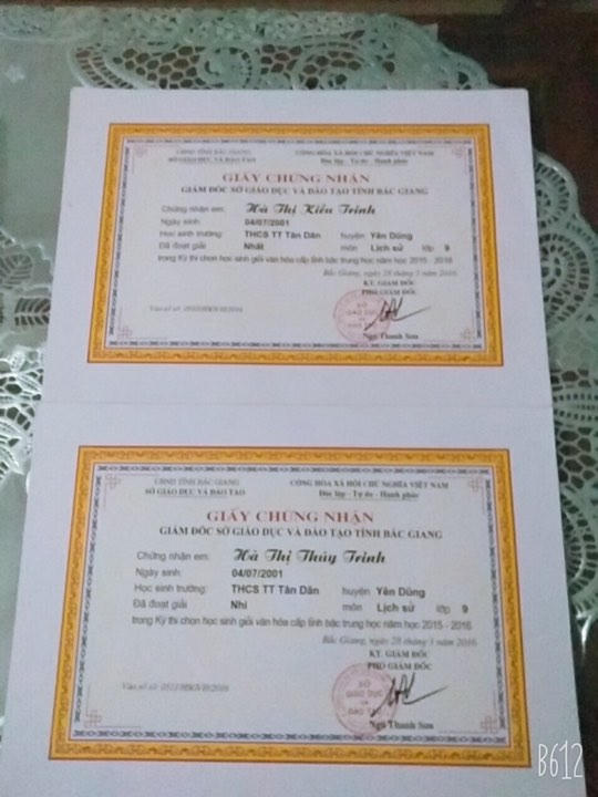 Từng đạt học sinh giỏi môn Lịch sử cấp tỉnh, nhưng cặp song sinh không chọn con đường Đại học.