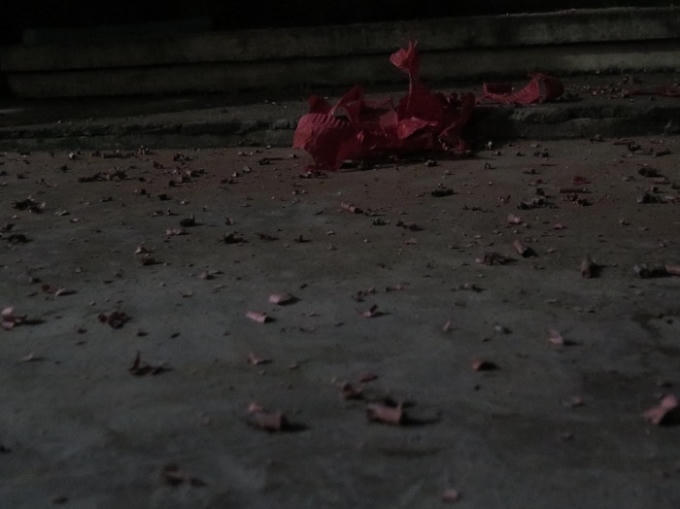 ... xác pháo rơi đầy đường...