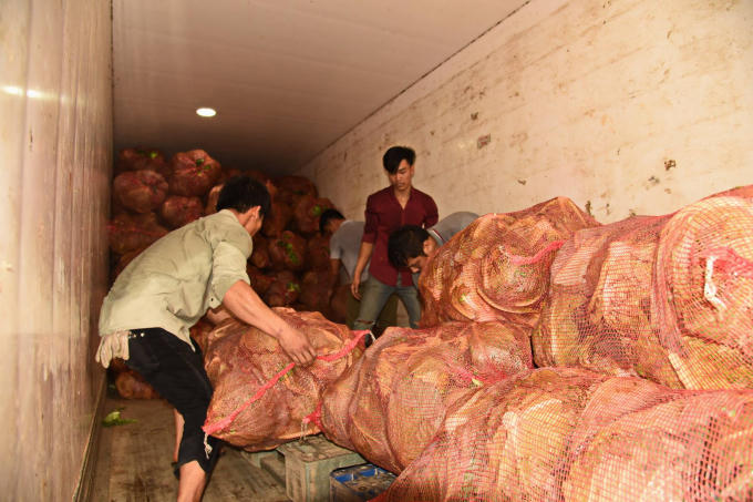 Các hàng nông sản được sắp xếp trước khi chuyển đi.