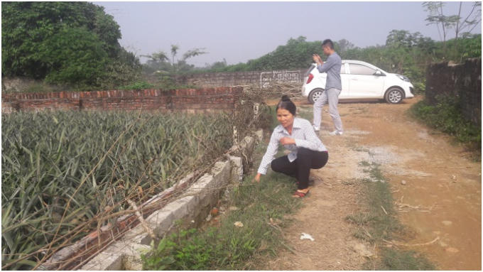 Người d&acirc;n n&ocirc;ng trường dứa Suối Hai k&ecirc;u cứu v&igrave; kh&ocirc;ng được giải quyết thỏa đ&aacute;ng.