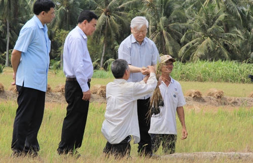 Tổng bí thư Nguyễn Phú Trọng thăm ruộng lúa ở huyện Giồng Trôm (Bến Tre) bị mất trắng do hạn, mặn lịch sử. Ảnh: Vnexpress
