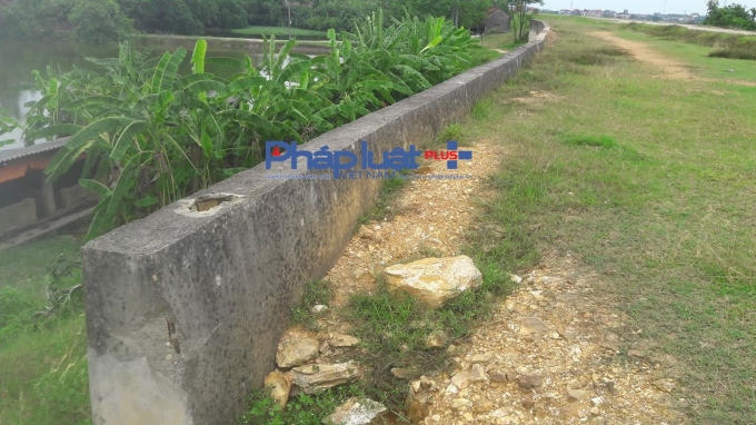 Kè bê tông cao gần 10 m như bức tường thành sừng sững đã mốc rêu