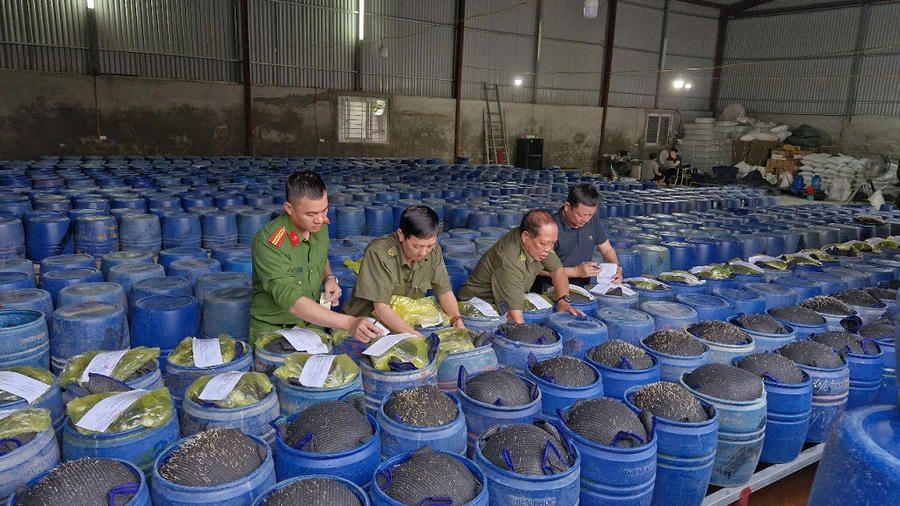 Lực lượng chức năng tiến hành niêm phong tang vật - Ảnh Công an Nghệ An.