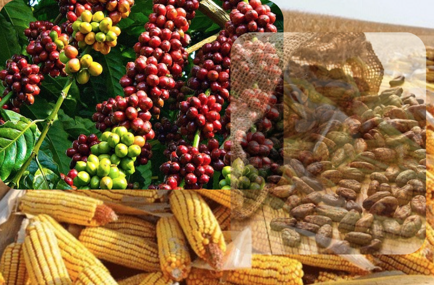 Thị trường hàng hoá phân hoá rõ nét trong tuần giao dịch vừa qua.