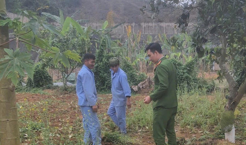 Bộ Công an đề xuất phạt tù đến 5 năm với người tái sử dụng ma túy.