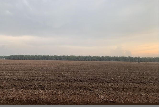 Khu đất Dự án Khu sản xuất nông nghiệp có quy mô 650 ha của Công ty TNHH Nông nghiệp Trung Thuỷ Agri. Ảnh: GĐVN.