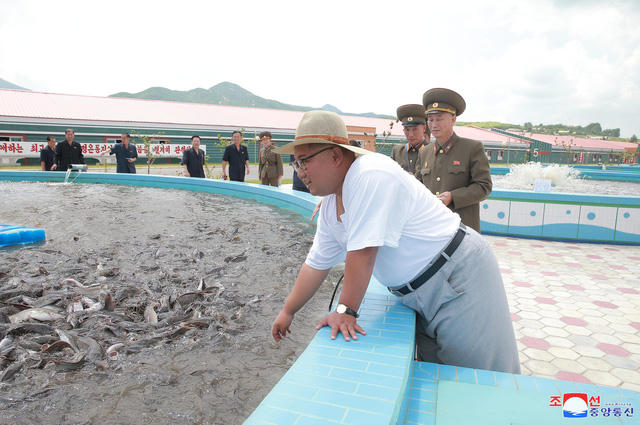 Báo Rodong Sinmun, cơ quan ngôn luận của đảng Lao động Triều Tiên, ngày 8/8 đưa tin nhà lãnh đạo Kim Jong-un gần đây đã tới thăm một cơ sở sản xuất cá ngâm do quân đội Triều Tiên vận hành ở Kumsanpo, tỉnh Nam Hwanghae.