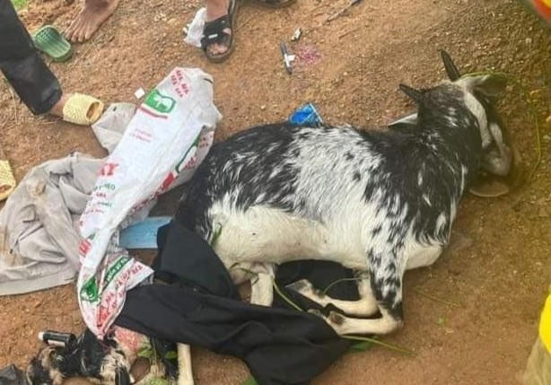 Hiện trường vụ việc trên.