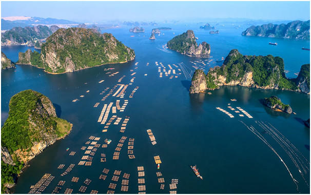 Cẩm Phả sở hữu nhiều lợi thế phát triển du lịch.