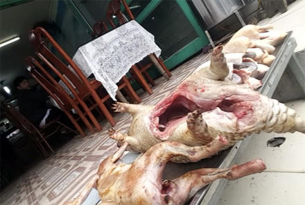 Chỉ một góc chợ cũng có đến hàng chục gian hàng bày bán các loại như: nhím, cheo, chồn, cầy hương... và những động vật quý hiếm khác trong diện bảo vệ nghiêm ngặt.
