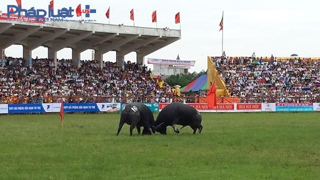 Ch&ugrave;m ảnh: