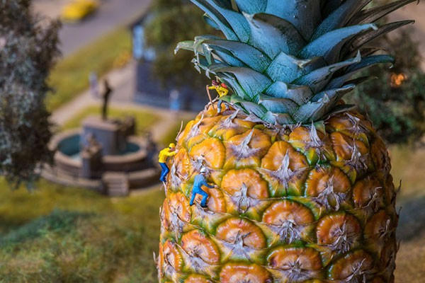 “Tòa nhà chọc trời”.