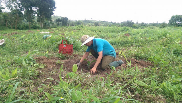 Thầy Võ Văn Tuấn làm nương rẫy để mưu sinh.