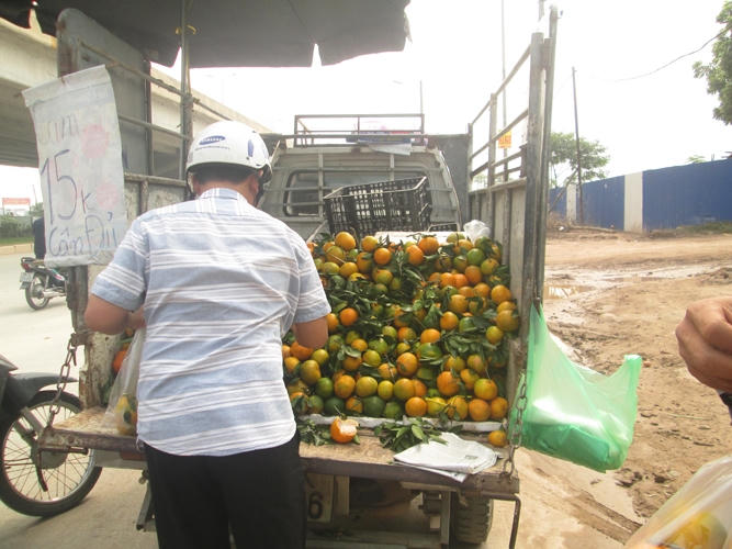 Người dân đổ xô đi mua hoa quả giá rẻ