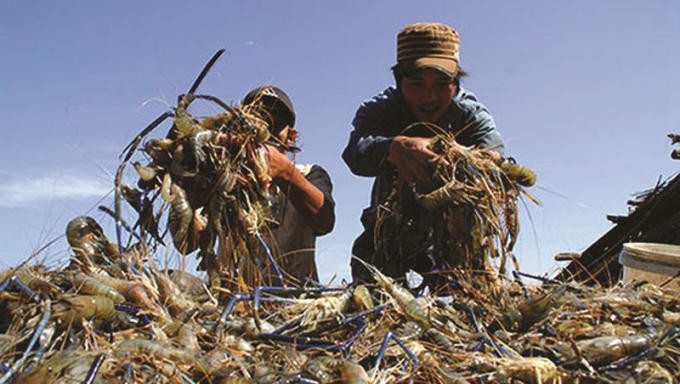 XK thủy sản trở thành điểm sáng trong quý I/2019 của ngành Nông nghiệp.