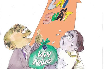 Ảnh: Đan ( Lao động ).