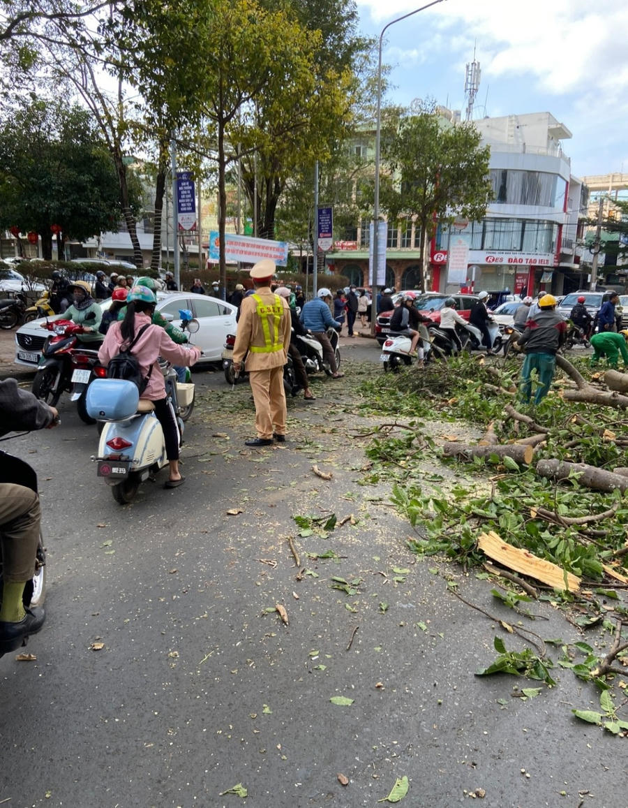 Cơ quan chức năng dọn dẹp hiện trường. Ảnh: Lê Văn Lệ