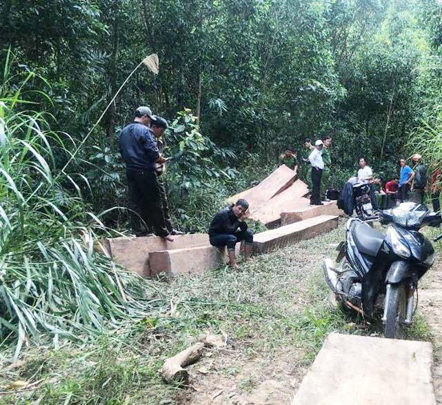 Bãi tập kết gỗ mà người dân phát hiện báo chính quyền địa phương.