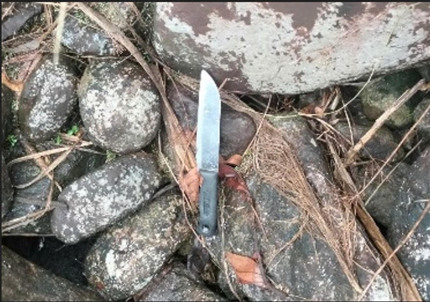 Tang vật của vụ án.