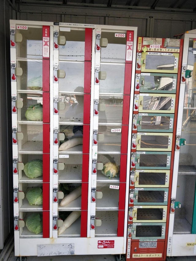 Thậm chí, người dùng có thể