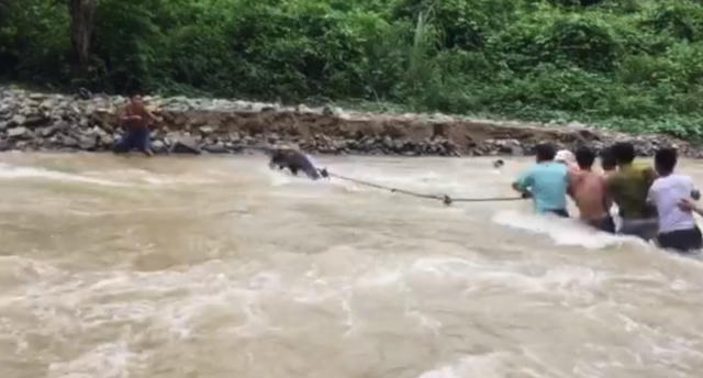 Dùng dây thừng kéo người là cách làm của người dân bản Na Lợt mỗi khi qua khe, khi nước lũ chưa dâng cao.