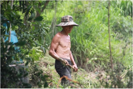 Thông tin có gấu rừng xuất hiện khiến người dân làm rẫy ở khu vực Lỗ Buông (xã Vĩnh Phương, TP Nha Trang) hoang mang.