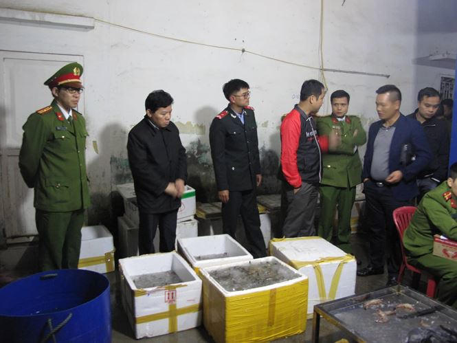 Đoàn kiểm tra liên ngành phát hiện cơ sở bơm tạp chất vào tôm chết.