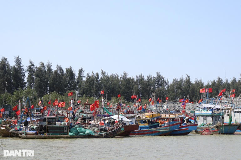 Nhiều tàu cá không chỉ do xăng dầu tăng mà tình trạng thiếu lao động đi biển cũng là nguyên nhân khiến không thể ra khơi.