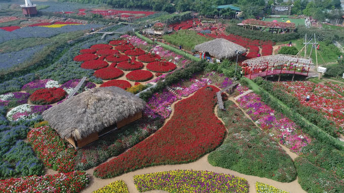 Nhũng loài hoa khác nhau được tạo hình thành từng khóm.