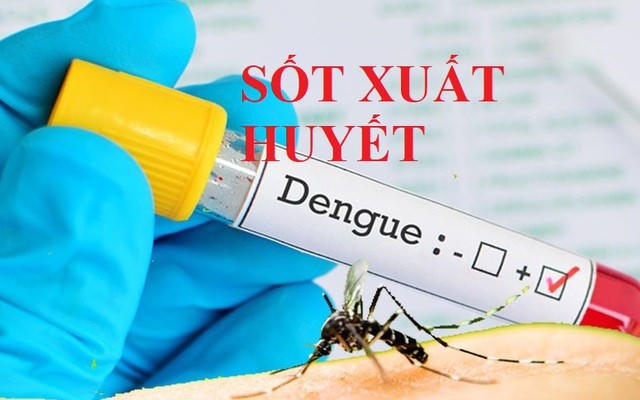 Thủ tướng yêu cầu tăng cường phòng, chống bệnh sốt xuất huyết. (Ảnh minh họa: VGP)