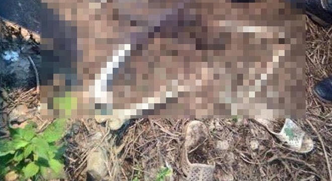 Khu vực nơi người dân phát hiện ra thi thể của nạn nhân xấu số.