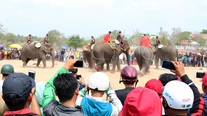 Rất nhiều du kh&aacute;ch tranh thủ ghi lại những khoảnh khắc ấn tượng về voi, hoặc ph&aacute;t trực tiếp tr&ecirc;n mạng x&atilde; hội để chia sẻ ngay c&ugrave;ng mọi người.
