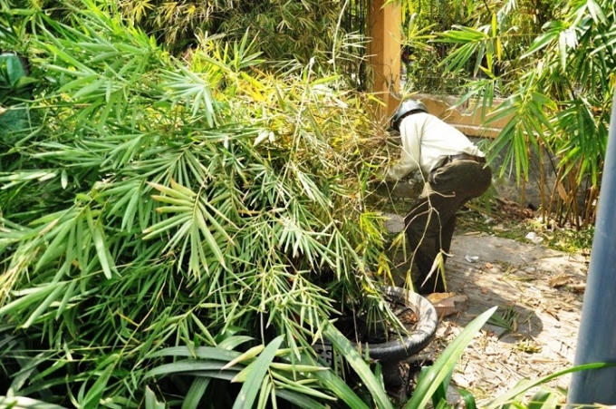 TP HCM: Nữ tài xế húc đổ rào thép, đè cụ ông chạy xe ôm