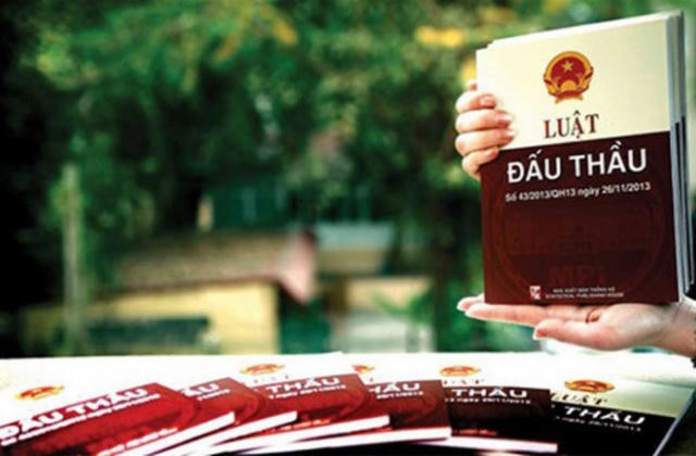 Nhà thầu phải cam kết gì trong đơn dự thầu?